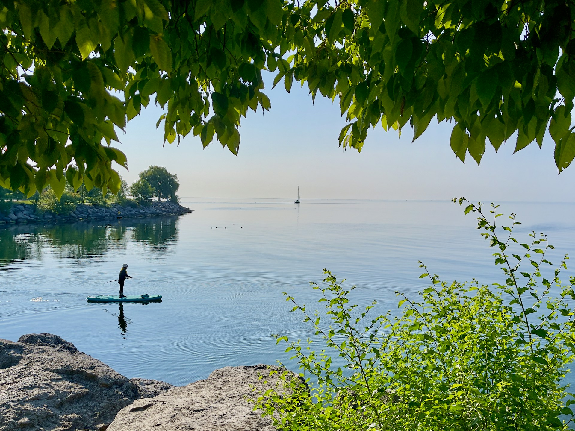 Paddleboard adventure through scenic trees - adventure water sports activities available for booking